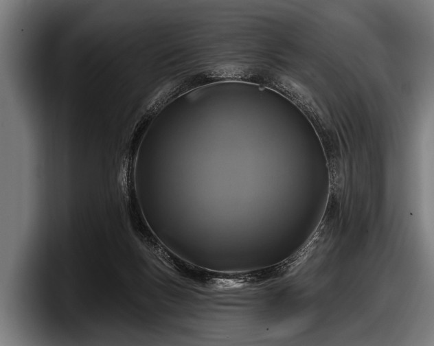 X0000097810167200803201424