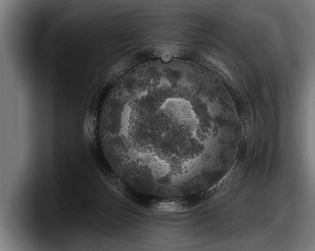 X0000097810171200803201424