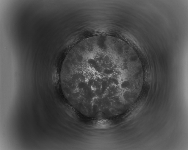 X0000097810173200803201425