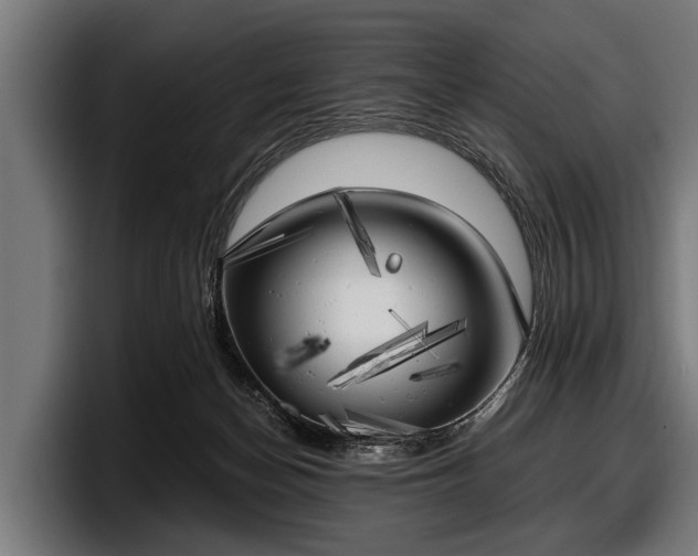 X0000097810174200803201425