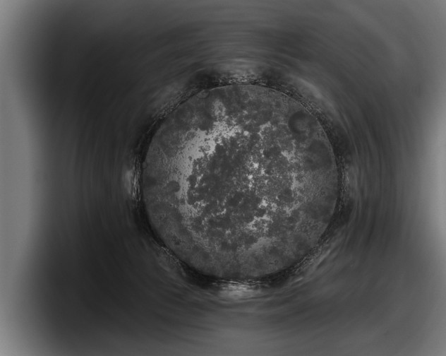 X0000097810177200803201425