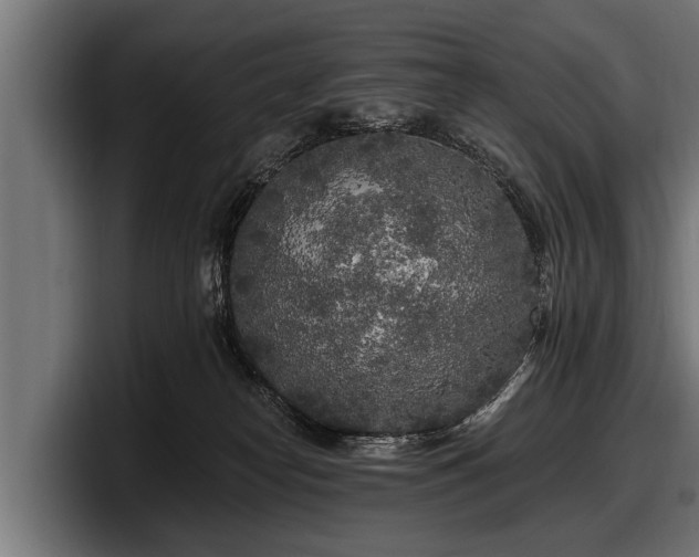 X0000097810182200803201425