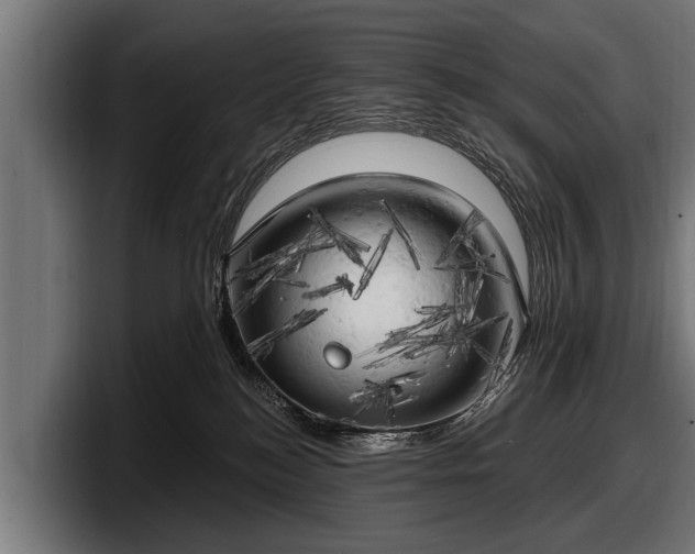 X0000097810184200803201425