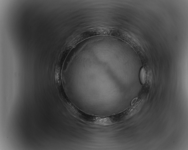 X0000097810185200803201425