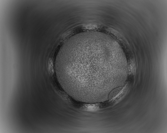 X0000097810187200803201425