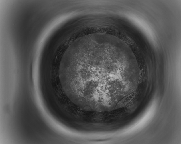 X0000097810191200803201425