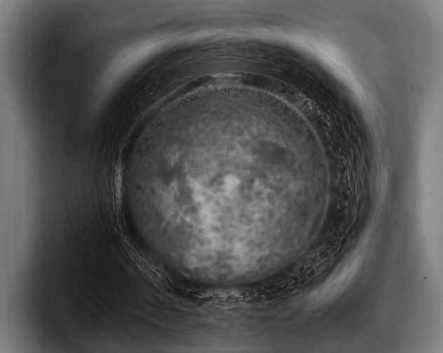 X0000097810194200803201424