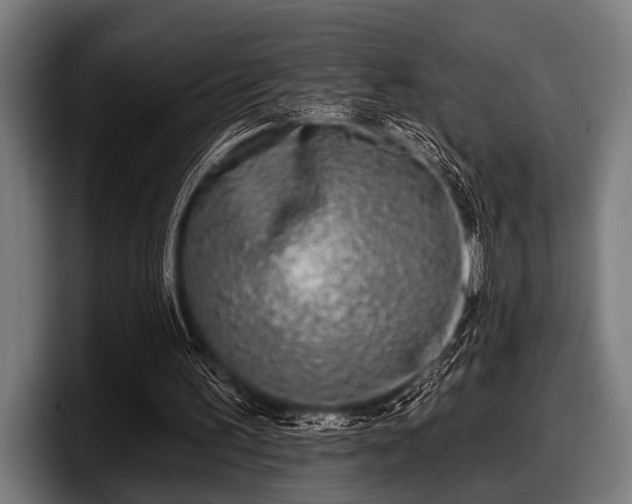 X0000097810195200803201424