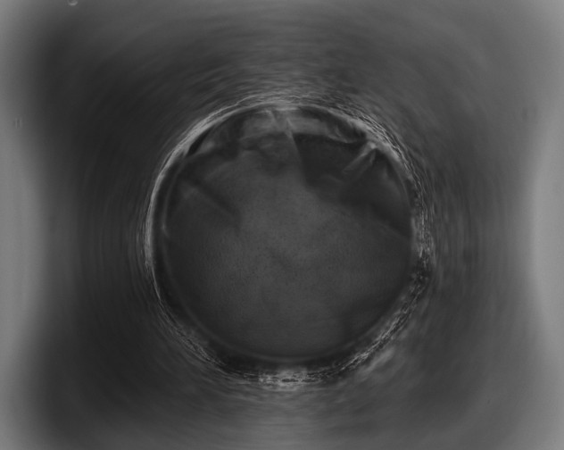 X0000097810196200803201424