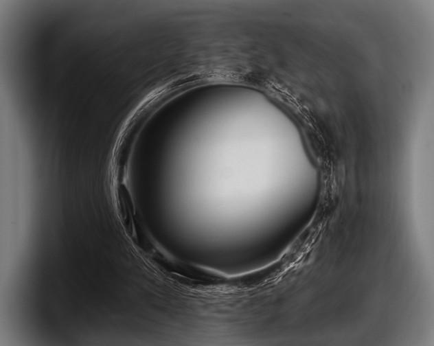 X0000097810197200803201424