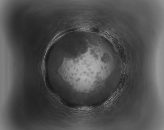 X0000097810198200803201424