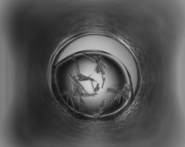 X0000097810199200803201424