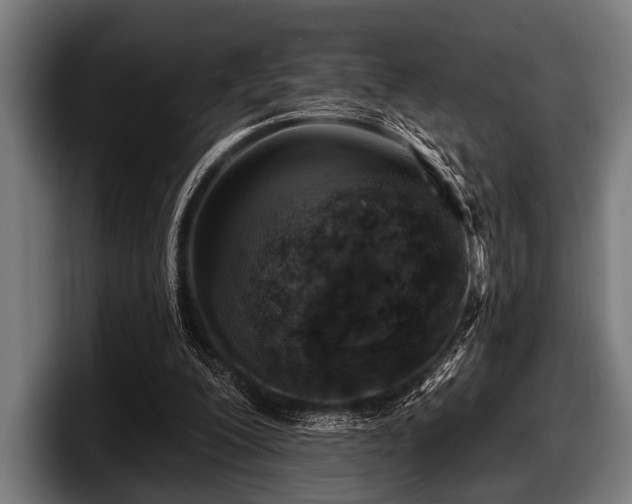 X0000097810200200803201424