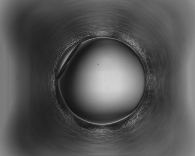 X0000097810201200803201424