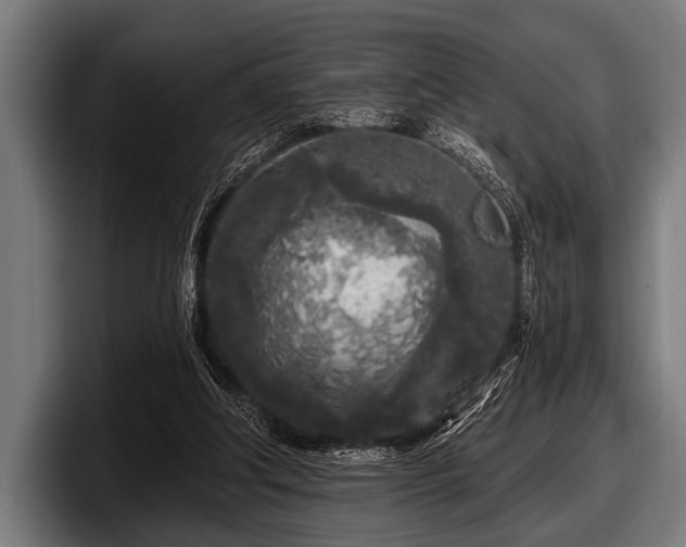 X0000097810202200803201424