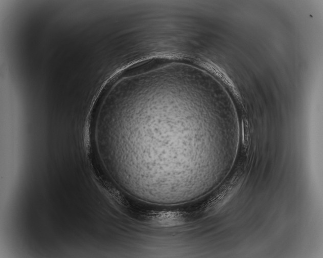 X0000097810204200803201424