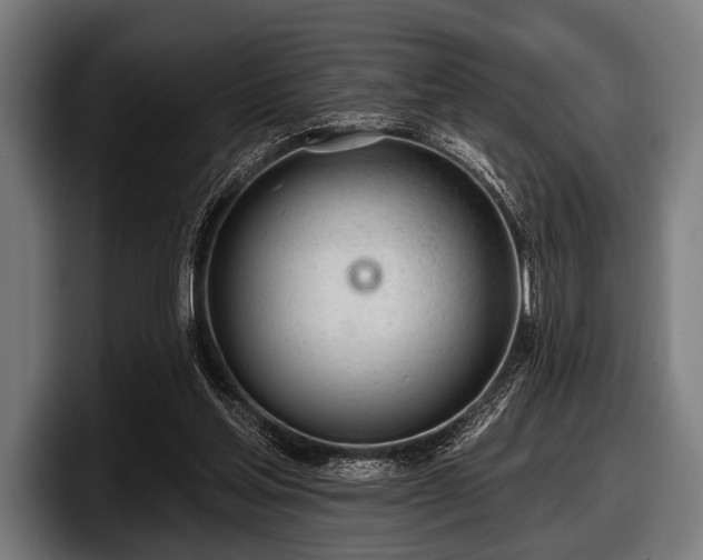 X0000097810205200803201424