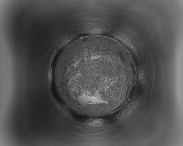 X0000097810206200803201424