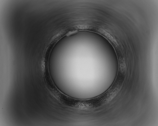 X0000097810207200803201424