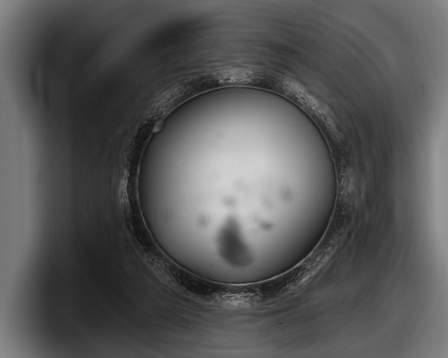 X0000097810209200803201424