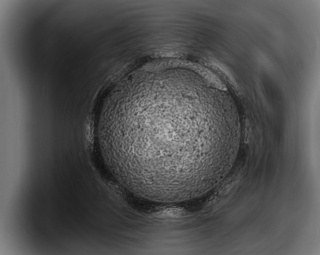 X0000097810210200803201424