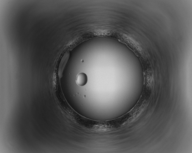 X0000097810211200803201424