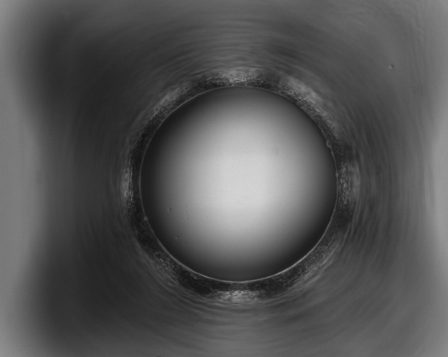 X0000097810212200803201424