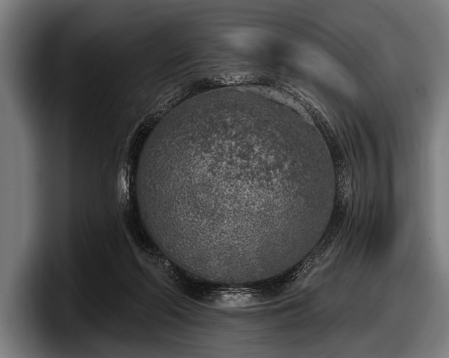 X0000097810214200803201424