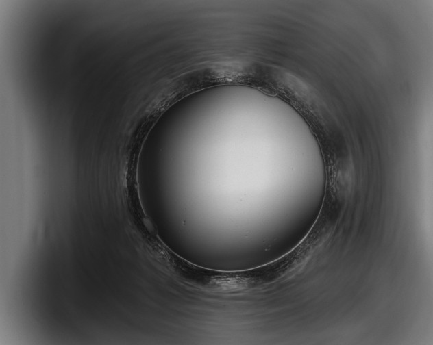 X0000097810221200803201424