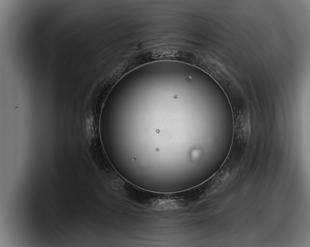 X0000097810224200803201424