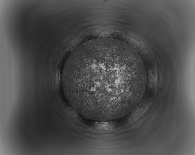 X0000097810230200803201424