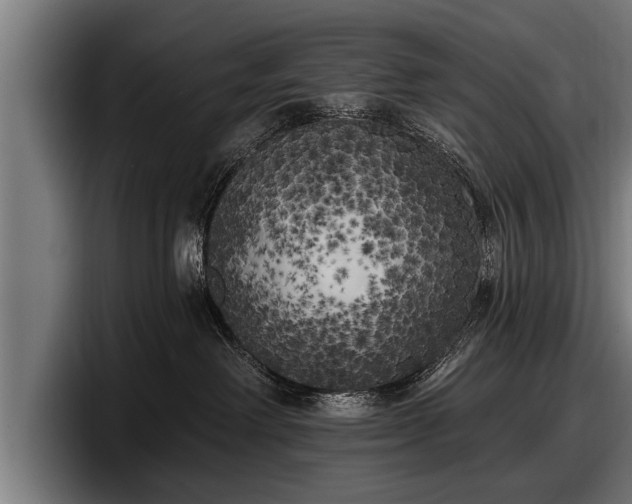 X0000097810238200803201424