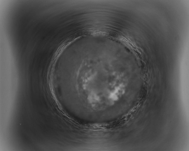 X0000097810241200803201423