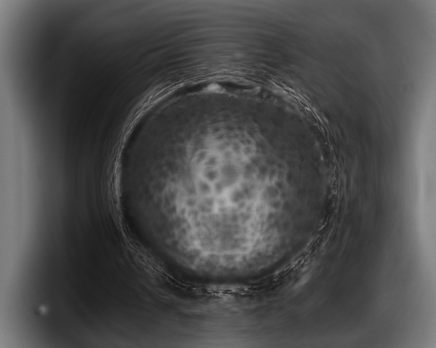 X0000097810242200803201423