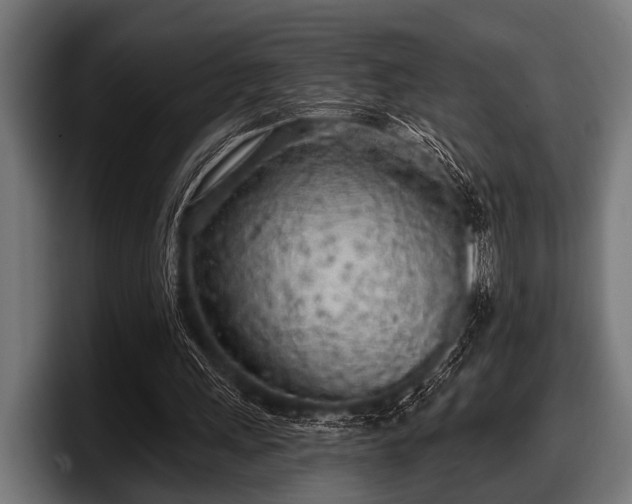 X0000097810243200803201423