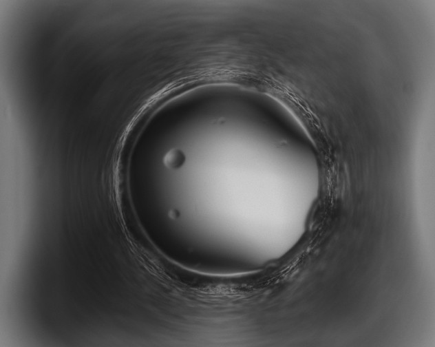 X0000097810244200803201423