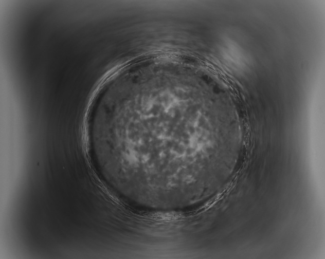 X0000097810245200803201423