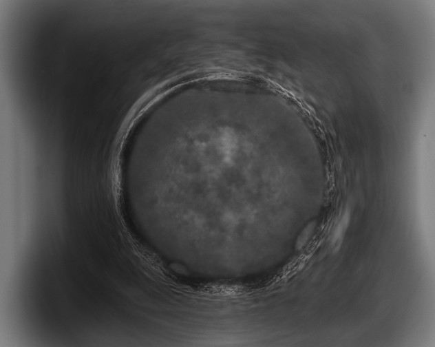 X0000097810247200803201423