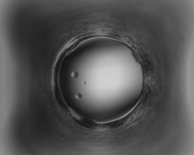 X0000097810248200803201423