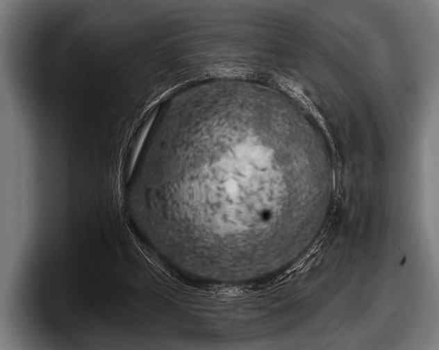 X0000097810249200803201423