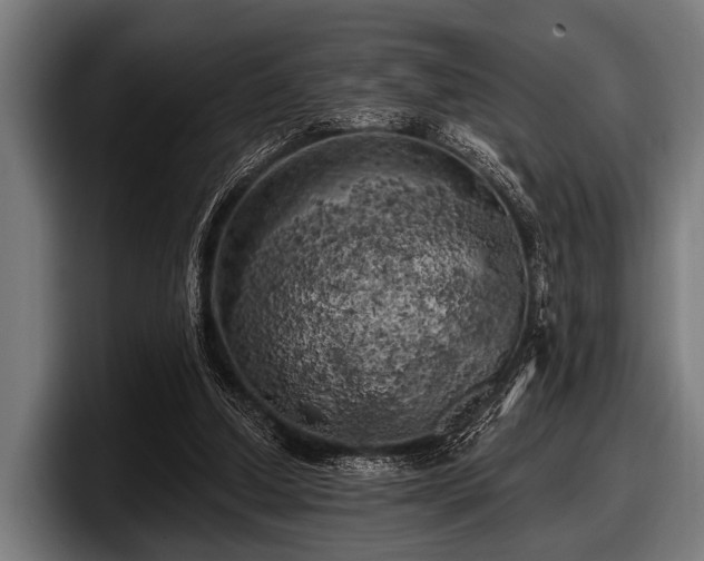 X0000097810250200803201423