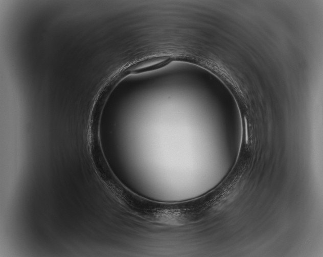 X0000097810252200803201423