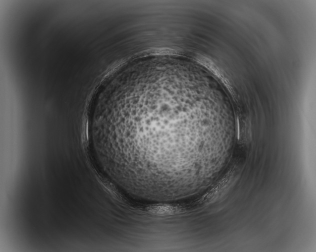 X0000097810253200803201423