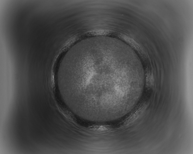 X0000097810254200803201423