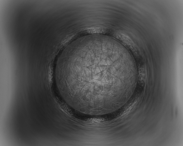 X0000097810255200803201423