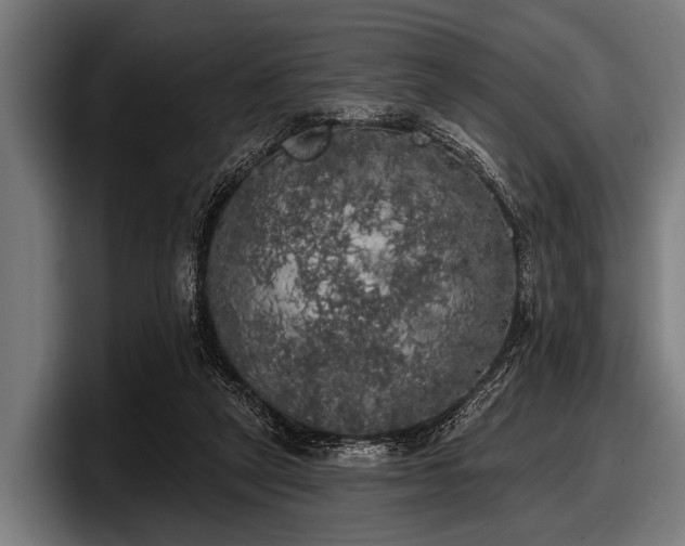 X0000097810257200803201423