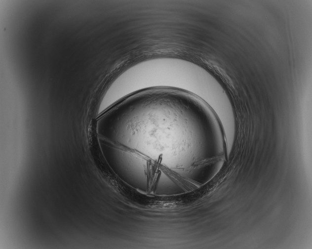 X0000097810260200803201423