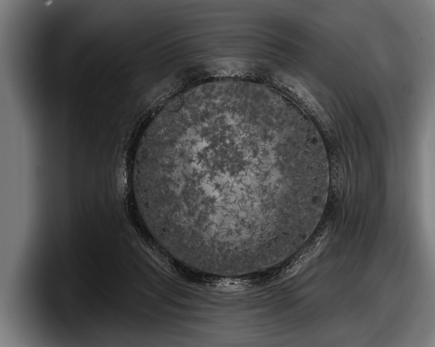 X0000097810261200803201423