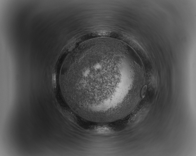 X0000097810262200803201423