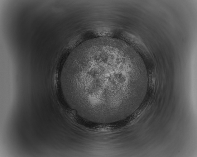 X0000097810263200803201423